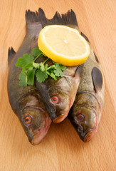 Raw tench with lemon and parsley on wooden background