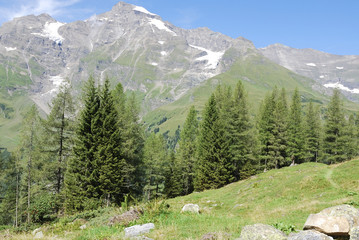 Fototapeta na wymiar Austriackie Alpy