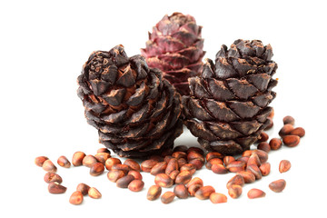 pine cone