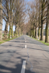 Fototapeta premium Rural asphalted road