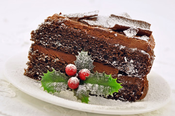 Frosted Chocolate Christmas Cake