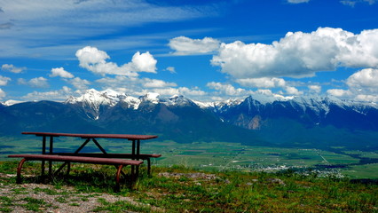 A bench with a view