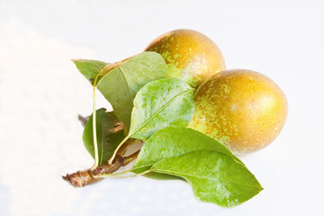 Pear Pair