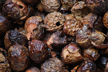 coquilles de noix ritha de l'Himalaya avant lavage