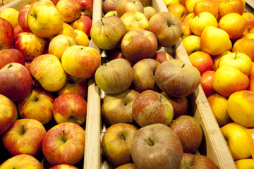 VERSCHIEDENE SORTEN ÄPFEL