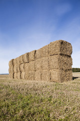 Bale of Haystack