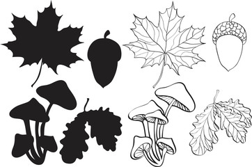 set of silhouette autumn plants