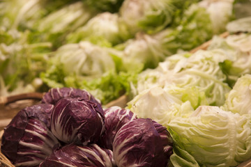 Obraz premium RADICCHIO UND ANDERE SALATE