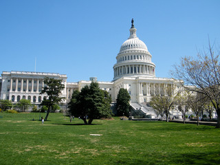 Washington Capitol building April 2010