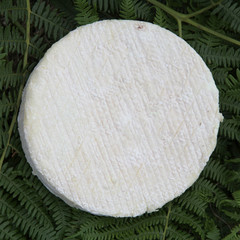 fromage de chèvre