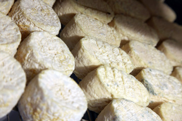 fromages de chèvre