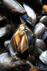 moules marinières