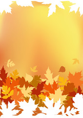 Autumn background.