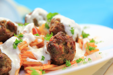 spaghetti with meatballs and tomato sauce