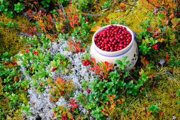 Preiselbeeren