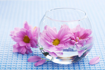 Obraz na płótnie Canvas pink flowers in vase