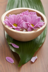 Obraz na płótnie Canvas pink flowers in vase