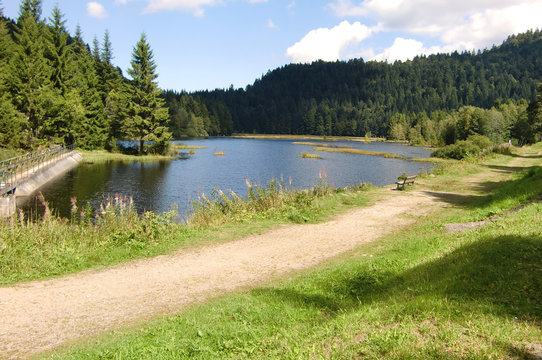lac de Lispach - Vosges