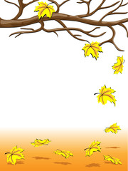 Autumnal falling of the leaves