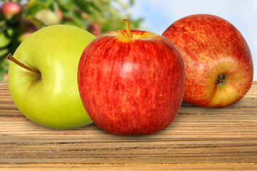 Obst 167