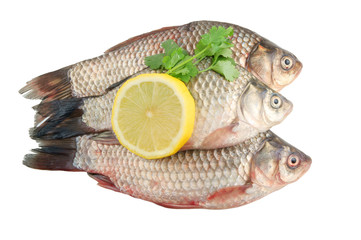 Raw crucians with lemon and parsley isolated on white