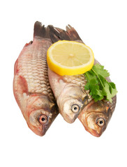 Raw crucians with lemon and parsley isolated on white