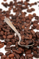 cuillère de grains de café