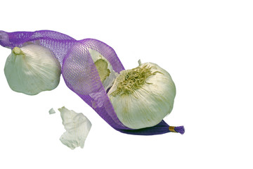 Knoblauch  #100930-017