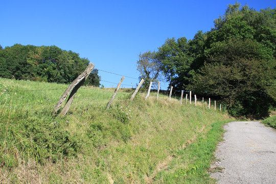 Campagne