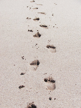 Footprints in the sea sand natural background