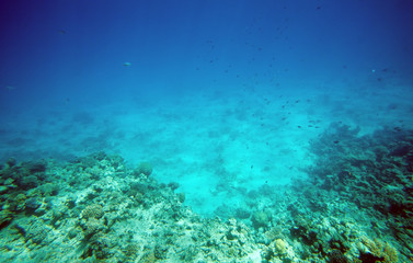 Fototapeta na wymiar podwodny