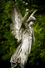 Fototapeta Kamienny cmentarny anioł , pomnik obraz