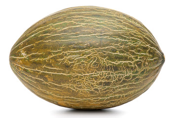 Melon