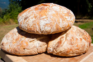 Bread Detail