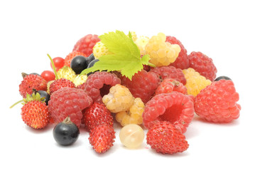 Fresh Berries