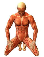 Muskelstudie Mann auf Knien