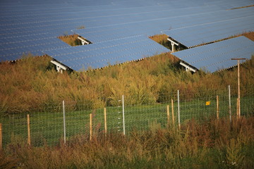 Solar