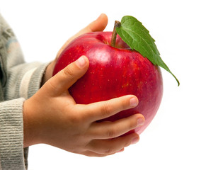 Red apple in the children's hands.