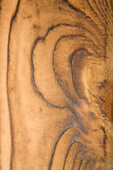 Obraz premium fondo madera