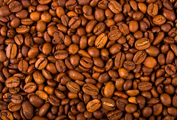 coffee beans