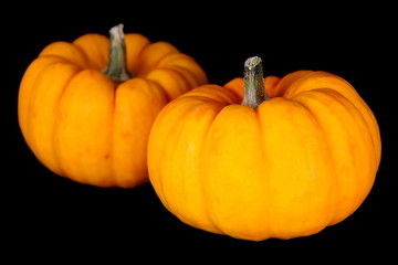Mini Pumpkins Isolated on a black Background