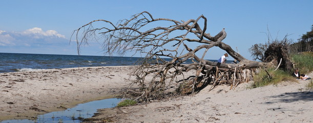 Panorama Weststrand Darss