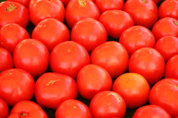 Tomatoes