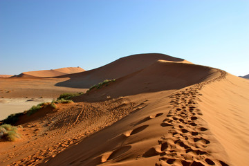 Fototapeta na wymiar Dune in Namib Desert in Namibia (Soussusvlei)