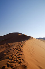 Fototapeta na wymiar Dune in the namib desert of Namibia (Sossusvlei)