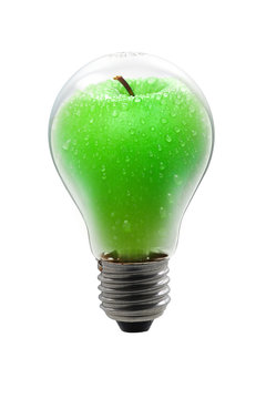 lampadina con merla verde