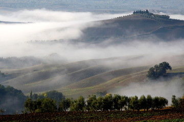 Morgennebel in der Toskana, Crete, Val d Orcia, Italien