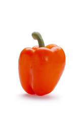 Orange Bell Pepper