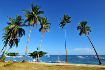 Fototapeta premium Tropical beach