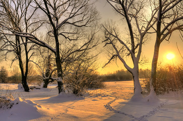 Prachtige winterzonsondergang met bomen in de sneeuw